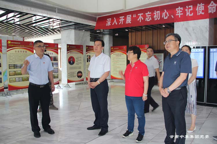 甘肅省委組織部副部長馬振亞一行蒞臨集團(tuán)公司黨委調(diào)研企業(yè)黨建工作